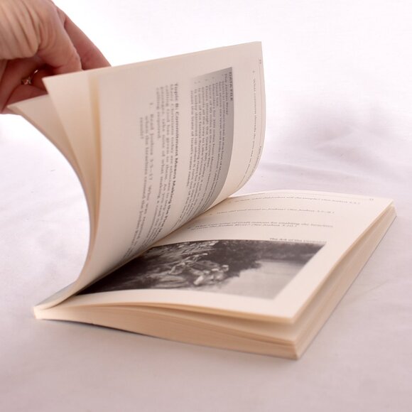 Faith Lessons on the Promised Land Paperback Raynard Vander Laan - Picture 8 of 11